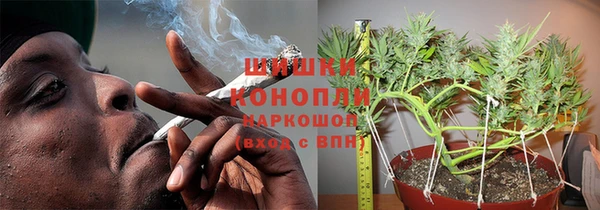 гашик Краснослободск