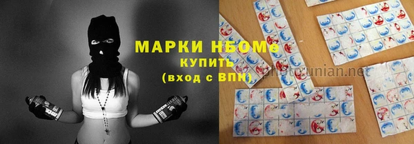 мдпв Белокуриха