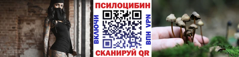 Галлюциногенные грибы Psilocybe  Мглин 